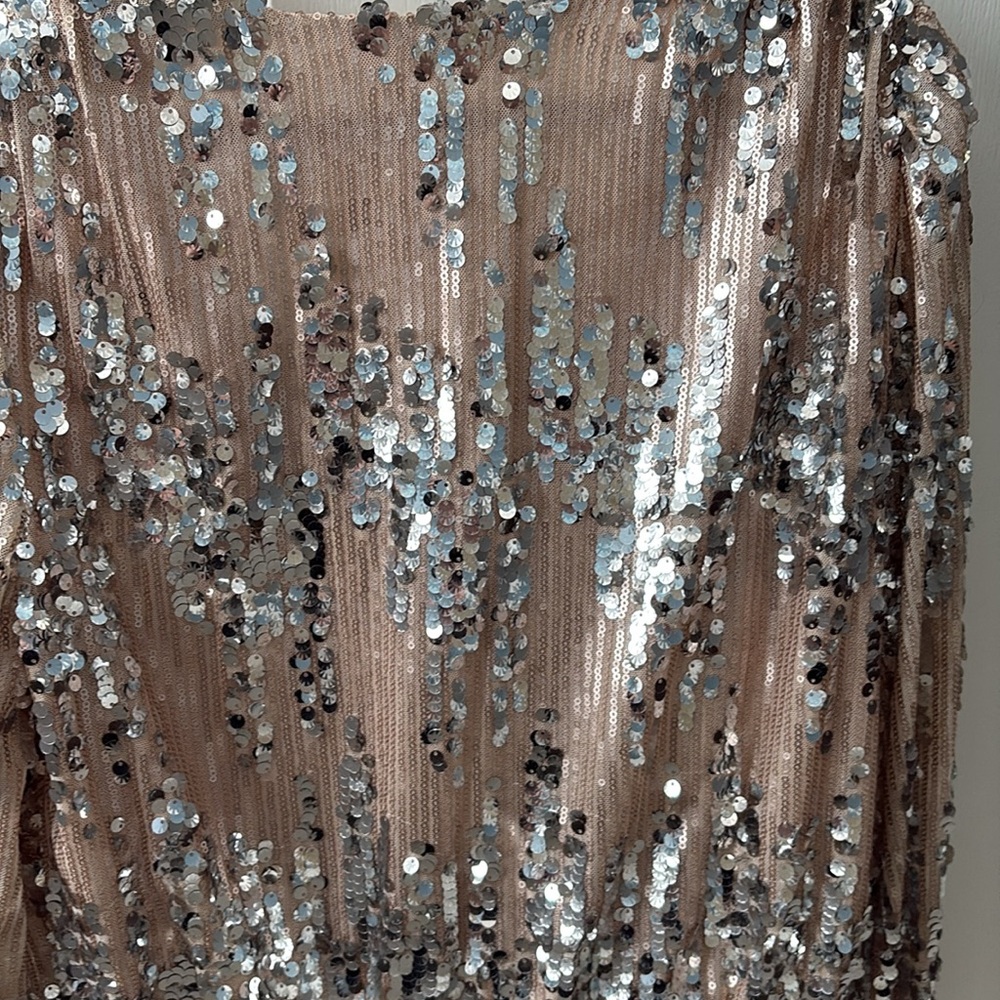 ASTR The Label Primadonna Silver & Tan Sequin Top - Small, 4 - 6 - Picture 12 of 14